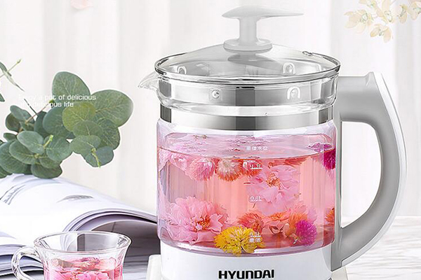 hyundai是什么牌子  第2张