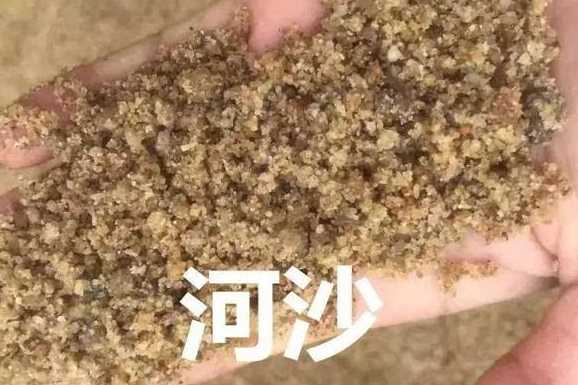 最科学辨别海沙和河沙图片