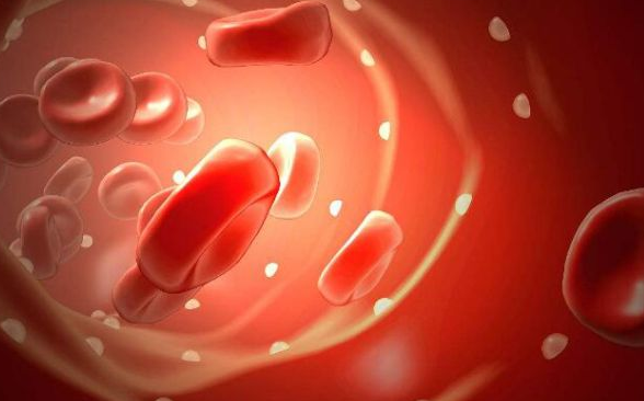 血清与血浆的区别-排行榜123网