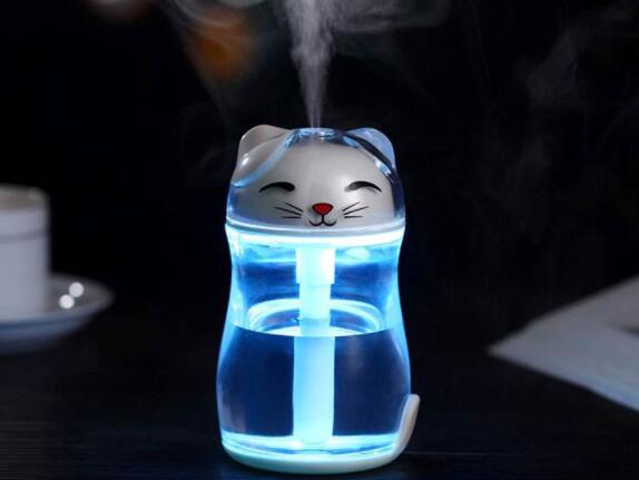 空气加湿器对鼻炎有没有好处 第1张 空气加湿器对鼻炎有没有好处 第1张