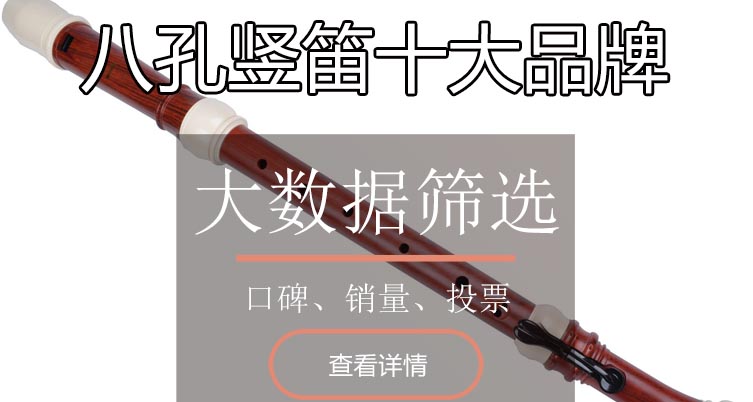 八孔竖笛十大品牌排行榜