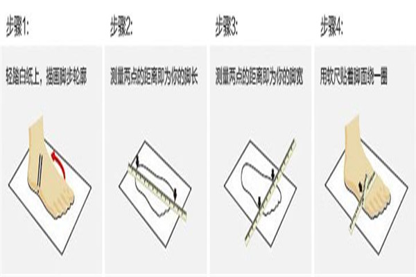 us12是多大的码数