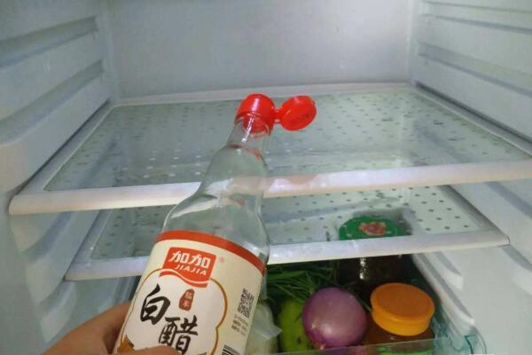 冰箱好久没用了有异味怎么办  第1张
