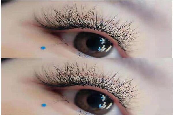 睫毛b翘和c翘的区别是什么