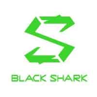 黑鯊/black shark