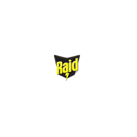 雷达/RAID