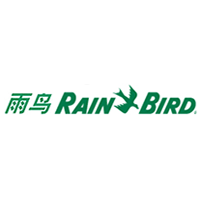 雨鳥/RainBird