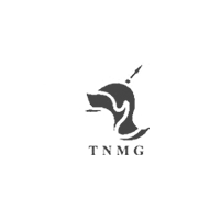 铜陵有色/TNMG