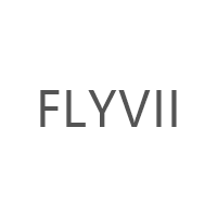 FLYVII