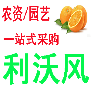 利沃风