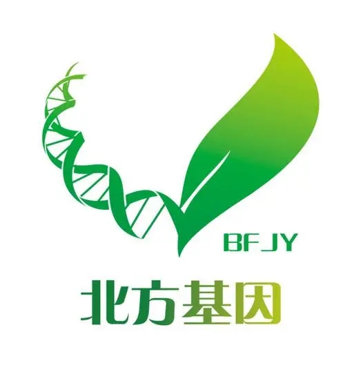 北方基因