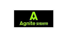 安格耐特/Agnite