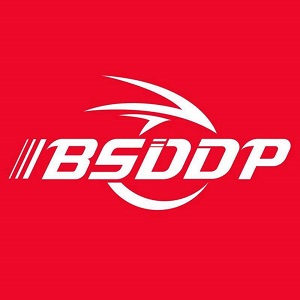 BSDDP