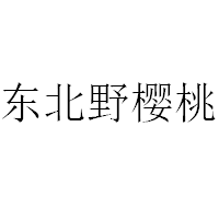 东北野樱桃