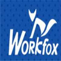 哈雷纳金狐狸/Workfox