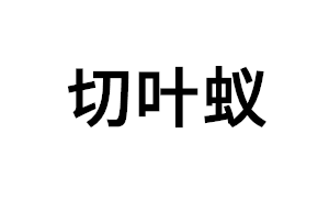 切叶蚁