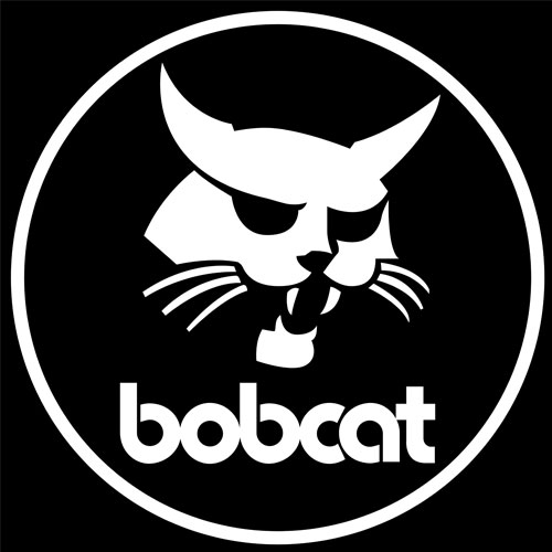 山貓/Bobcat