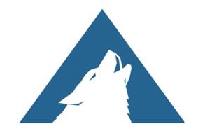 Arctic Wolf Networks