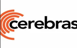 Cerebras Systems