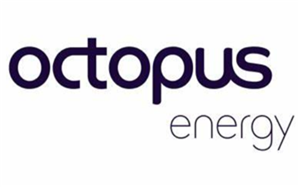 八达通能源/Octopus Energy