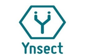 Ynsect