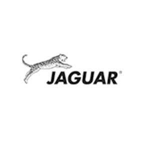 叢林豹/JAGUAR