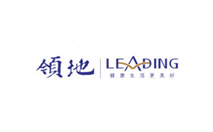 领地/LEADING