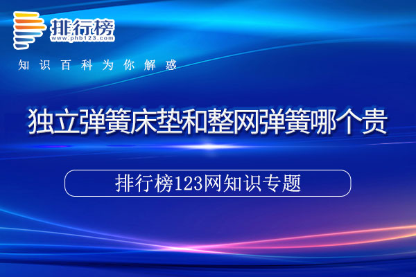 獨(dú)立彈簧床墊和整網(wǎng)彈簧哪個(gè)貴