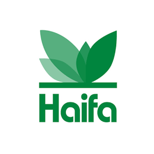 海法/Haifa Group