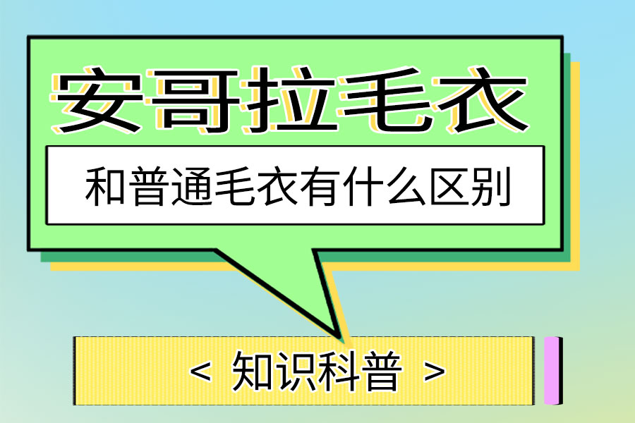 安哥拉毛衣和普通毛衣有什么区别