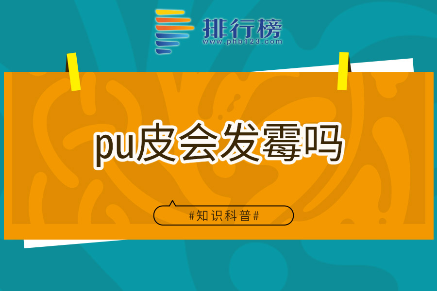 pu皮会发霉吗