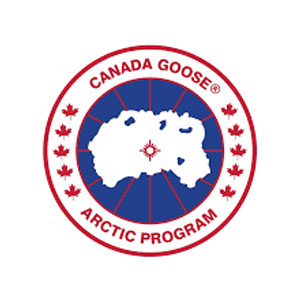 加拿大鵝/Canada Goose