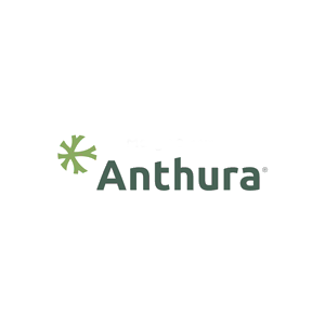 安祖/Anthura