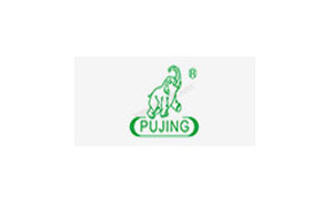 浦京/PUJING