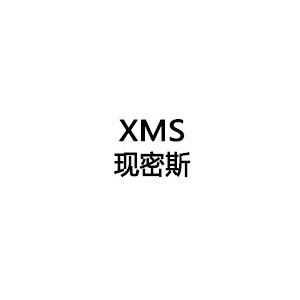 現(xiàn)密斯