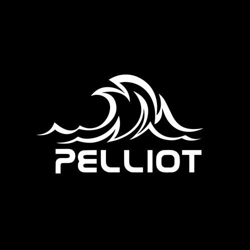 伯希和/PELLIOT