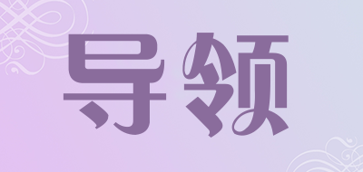 導(dǎo)領(lǐng)