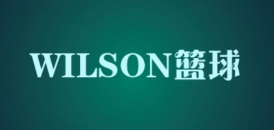 WILSON篮球/wilson